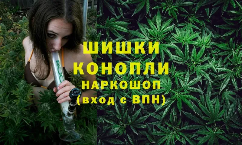 наркота  Вичуга  Конопля SATIVA & INDICA 